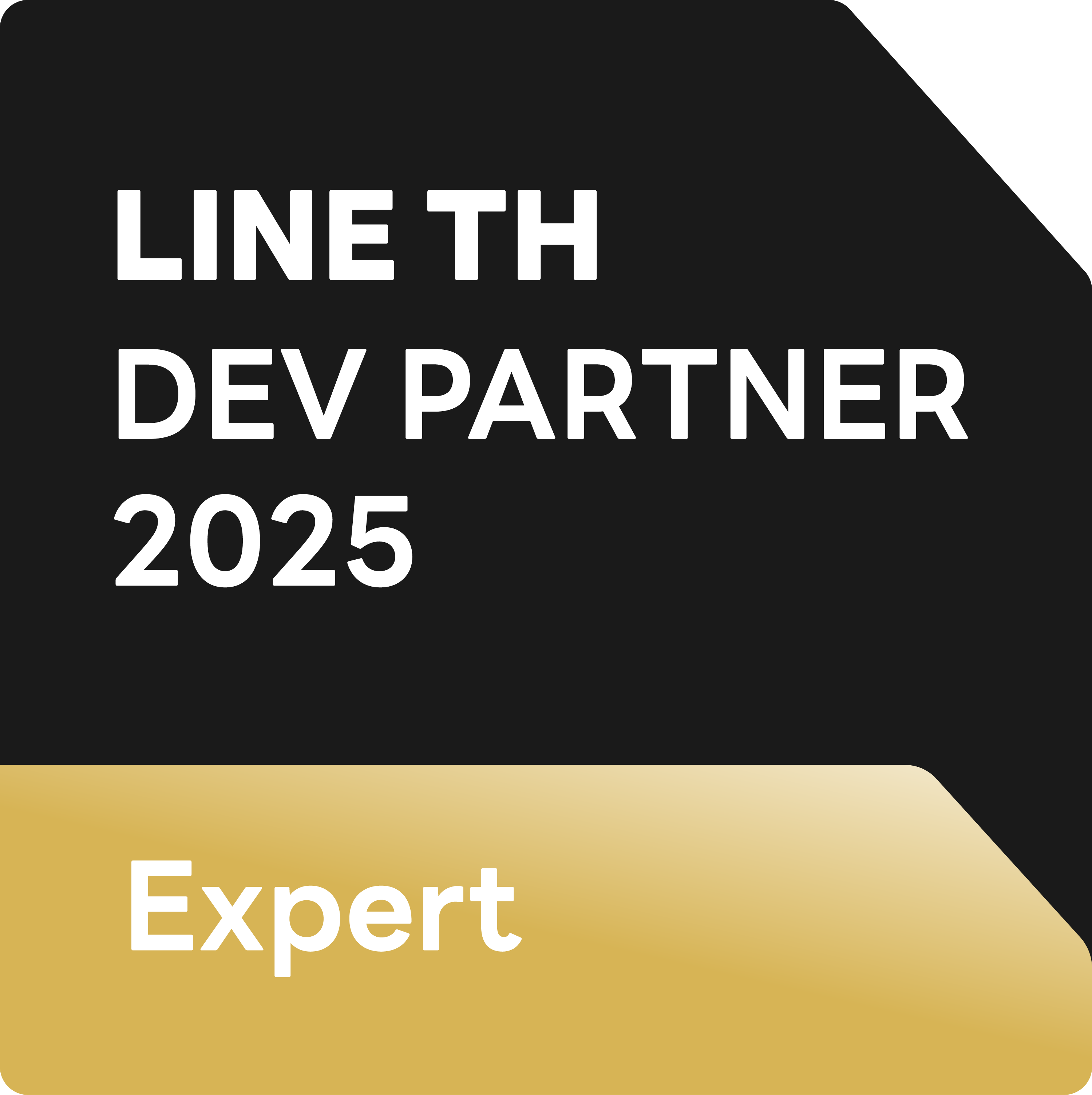 Expert